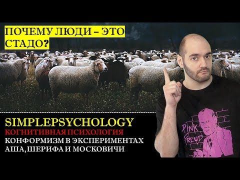 Видео: Когнитивная психология #141. Конформизм в экспериментах Аша, Шерифа и Московичи