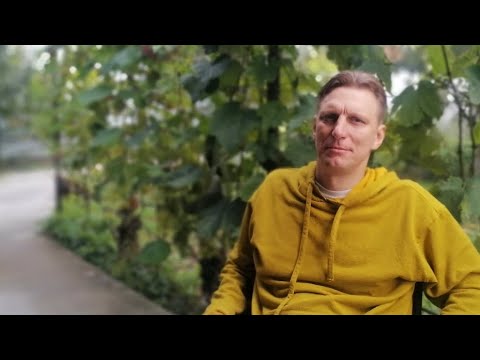 Видео: #25/5 Беларусь. 24.08.2025. В гостях на винограднике  Владимир Романюк. г.Пинск