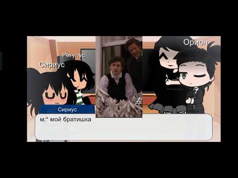 Видео: реакция семьи Блэк на тт ❣