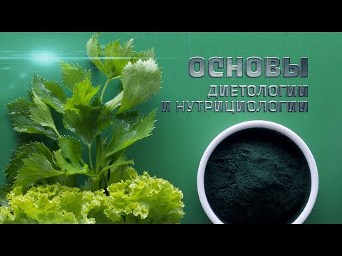 Видео: Основы диетологии и нутрициологиии