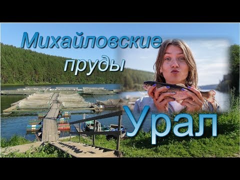 Видео: Урал  Михайловск  Необычная плотина и речная форель