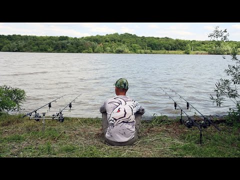 Видео: Рыбалка с палаткой на сазана 24 часа карпфишинг и кулинария на природе, рецепт бутербродов