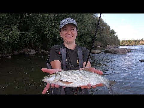 Видео: Рыбалка с ночёвкой. Заброшенная деревня. Вкуснятина на костре