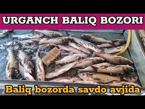 Видео: 🐠URGANCH BALIQ BOZORI | БОЗОРДА САВДО АВЖИДА 07.09.2025