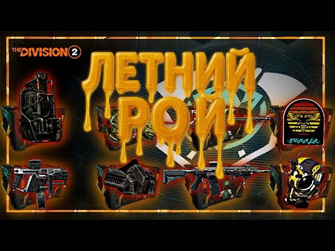 Видео: Летний Рой. Подводим Итоги!