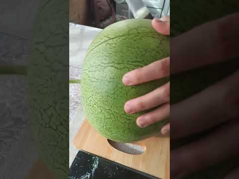 Видео: Арбузище! Пока резали вроде не очень, но стали есть... вкуснятина! 😁 можно запивать водой.