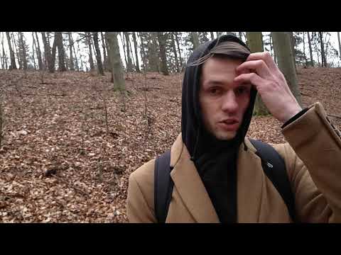 Видео: Как подготовиться к первому семестру в ЧВУТ FEL OI? Учеба в Чехии