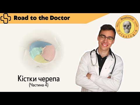 Видео: Кістки черепа | Частина 4 | Очна ямка, кісткова носова порожнина та кісткове піднебіння