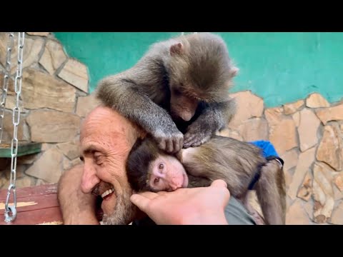 Видео: ЭТО СМЕХ! Денис подложил руку Анфиса под лицо, но Люська решила, что это для нее!))