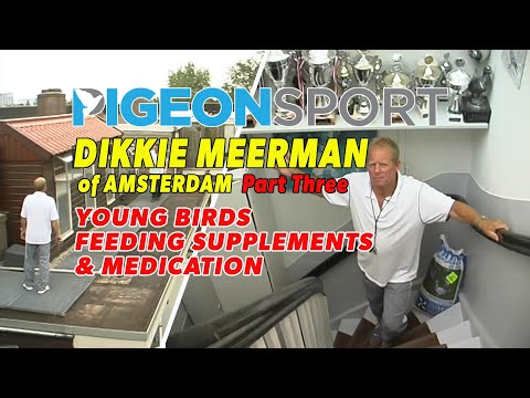 Видео: Молодые птицы с Дикки Мирманом. Часть третья