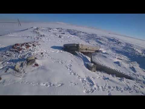 Видео: Охота на зайца зимой,январь 2025 год. Добыл два зайца.