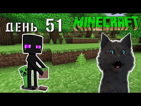 Видео: Minecraft СУПЕР КОТ 🐱  ЗАБЛУДИЛСЯ В МАЙНКРАФТЕ И ПОДРАЛСЯ С ТОЛПОЙ ЗОМБИ 🐱 ВЫЖИВАНИЕ 100  ДЕНЬ 51