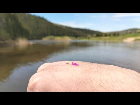 Видео: Микро джиг разнёс мормышинг