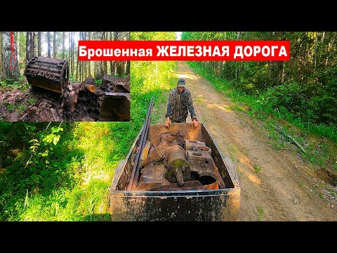 Видео: Нашёл брошенную ЖЕЛЕЗНУЮ ДОРОГУ! Рыбалка и поиск металла в глухой тайге,  приключения в диком лесу.