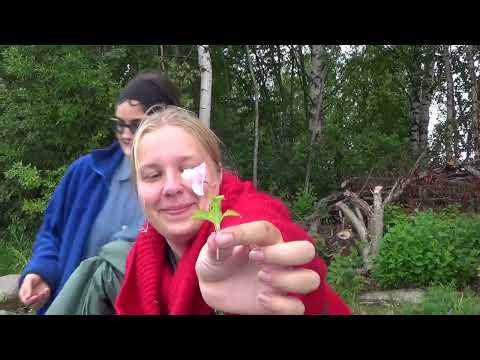 Видео: Карелия  Вёгорукса  Фильм 5  Вылазки ПРОДОЛЖЕНИЕ