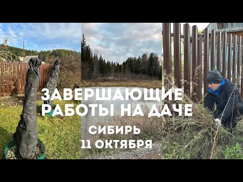 Видео: Шок! Уже -7 в Сибири 😱 Укрываем деревья, первые серьезные заморозки