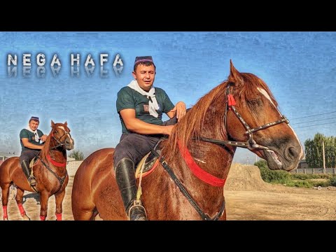 Видео: ОТ СОТИЛАДИ..УЛУГБЕК КИМДАН ХАФА ULOQCHI OT SOTILADI.(Mus Tv)#otbozor#horse #Attar