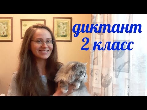 Видео: Диктант по русскому языку 2 класс «Утром»