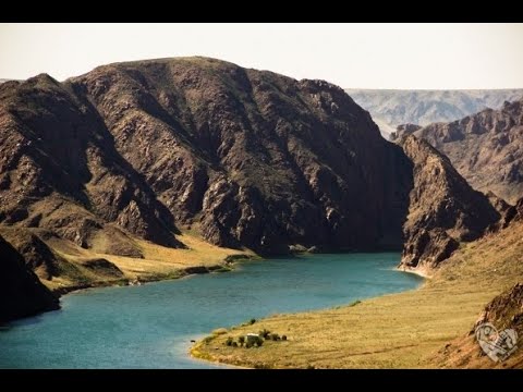 Видео: рыбалка на реке Или 18 июля 2022 выезд на топчаны.Горбатые сазанчики.