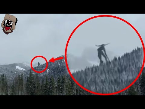 Видео: Товарищ ЧЕРНЫЙ КОТ показывает НОВЫХ МОНСТРОВ снятых на камеру