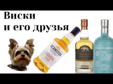 Видео: Сражение Bruichladdie - Deanston - Wolfburn кто победит?