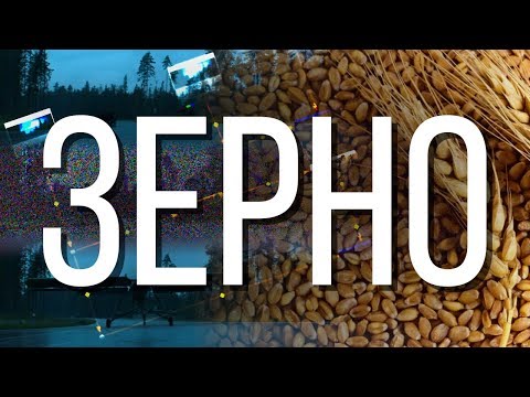 Видео: РАСКРЫТА ТАЙНА ДОБАВЛЕНИЯ ЗЕРНА! ОКАЗЫВАЕТСЯ ВСЁ ПРОСТО, ДОСТАТОЧНО ТОЛЬКО