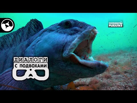 Видео: Охота на монстра | Диалоги с подвохами