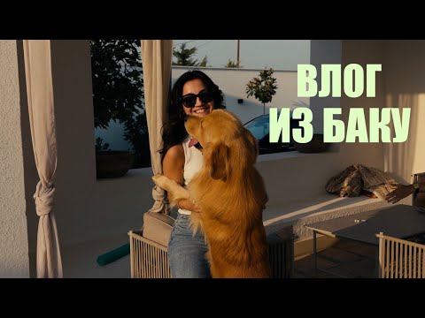 Видео: Влог: 5 дней в любимом Баку 🤎
