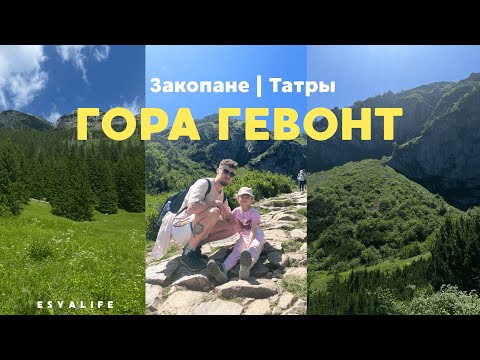 Видео: Закопане: неудачный подъем на Гевонт | горные овцы и ресторан под облаками | Крупувки и лучший журек