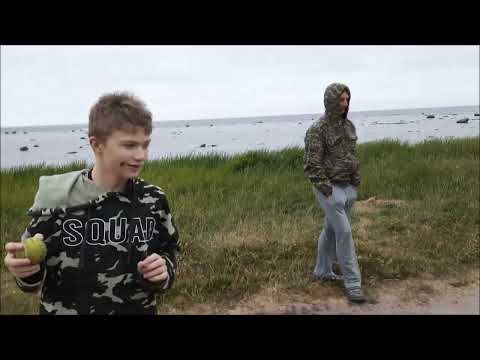 Видео: Орловы (зять, дочь, внук, внучка и Пуля) на Севере  Белое море, дача друга. Фрагменты. 2021.