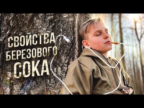 Видео: Как собирать БЕРЕЗОВЫЙ СОК и сохранить его НА ЗИМУ ?