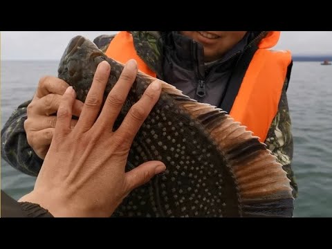 Видео: Обычная рыбалка и ДВА ТРОФЕЯ