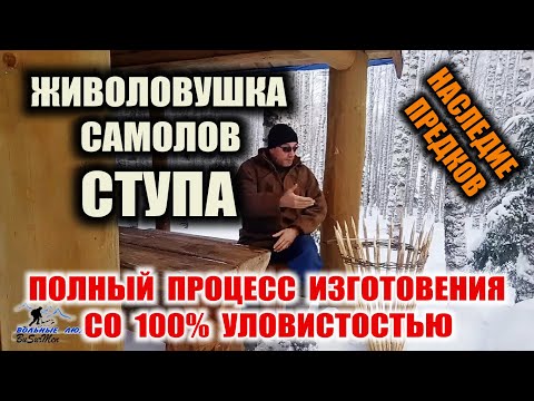 Видео: ЛОВУШКА НА ПТИЦУ со 100% уловистостью. СТУПА - древний самолов на птицу, живоловушка при выживании.