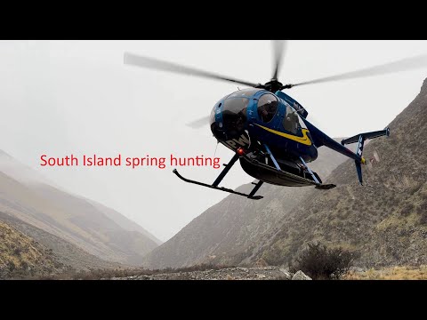 Видео: Импровизированная охота на Восточном побережье с HeliRural