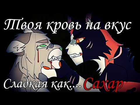 Видео: †Твоя Кровь На Вкус Сладкая Как Сахар†Коты-Воители†Warriors Cats. #warriorscats #animation