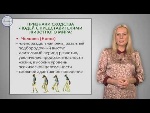 Видео: Биология 8 класс. Место человека в системе органического мира  Человек — биологическое