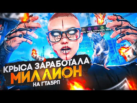 Видео: КРЫСА ЗАРАБОТАЛА МИЛЛИОН НА ГТА 5 РП│ЛУЧШИЙ ПИТОМЕЦ НА ГТА 5 РП│КАКОГО ПИТОМЦА ВЫБРАТЬ НА ГТА 5 РП?