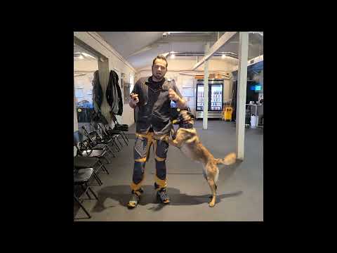 Видео: Сделайте ваши НАГРАДЫ более ВОЗНАГРАЖДЕННЫМИ для вашей собаки