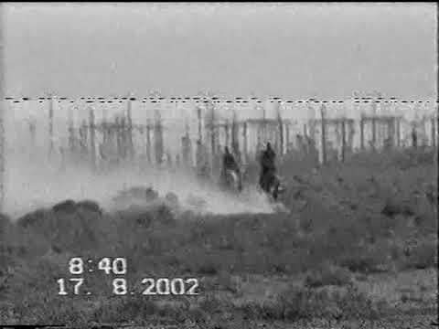 Видео: Ат шабыс Қызыласкер 2002 жыл 2 часть