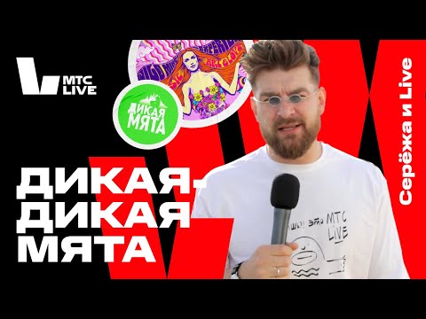 Видео: Серёжа и Live: Дикая Мята. Green