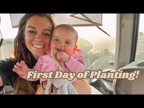 Видео: Первый день посадки 2025 года!