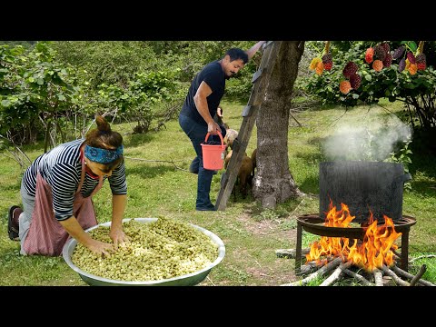 Видео: Сбор шелковицы | Традиционная шелковичная патока и вкусный рецепт десерта