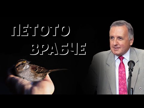 Видео: 27.08.2022 - Петото врабче