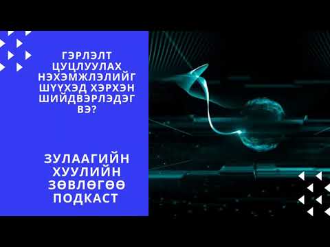 Видео: S1 E2 Гэрлэлт цуцлуулах нэхэмжлэл                               Зулаагийн хуулийн зөвлөгөө подкаст