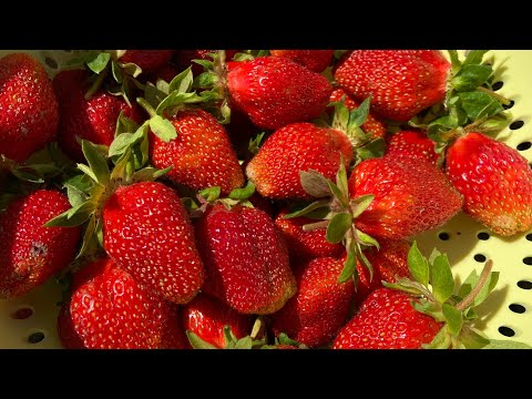 Видео: Как я спасла клубнику от личинок майского жука