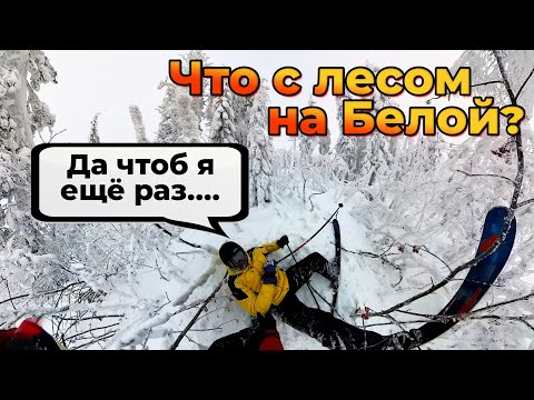 Видео: Что с ЛЕСОМ на БЕЛОЙ??!!