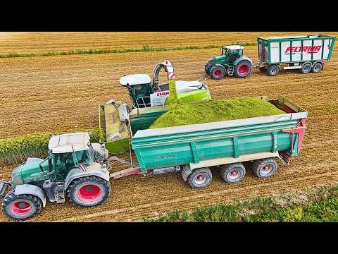 Видео: ПШЕНИЦА ИЗМЕЛЬЧЕННАЯ 2025 CLAAS JAGUAR 980