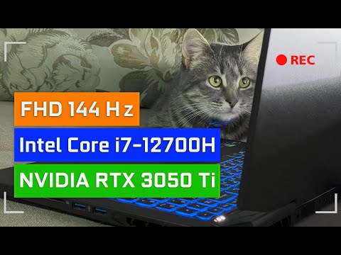 Видео: Возможно, ты его искал! Обзор ноутбука от Dream Machines RG3050TI-17