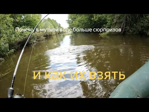 Видео: ОСОБЫЙ момент и приманка для ловли крупной щуки в микроречке. Муть - время спиннинга!