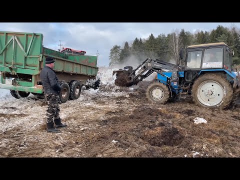 Видео: Так начинал каждый тракторист! МТЗ-82 на погрузке, КИРОВЕЦ К-525 и МТЗ 1221 на транспортировке.